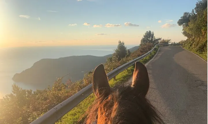 Horse ride on the coast of Monterosso al Mare Cinque Terre