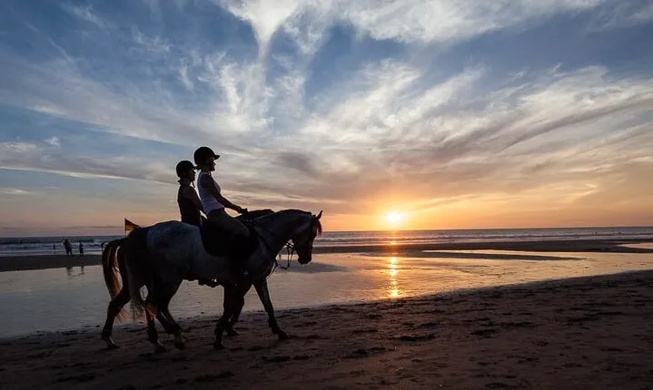 Horse Riding on the Black Sand Beach and Free Hotel Transfers