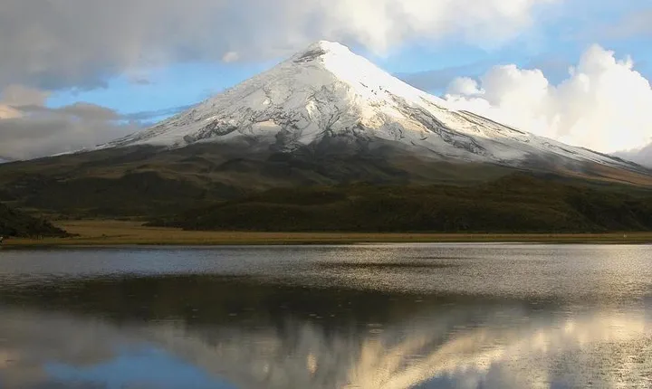 Private Tour to Cotopaxi National Park + Rose Plantation