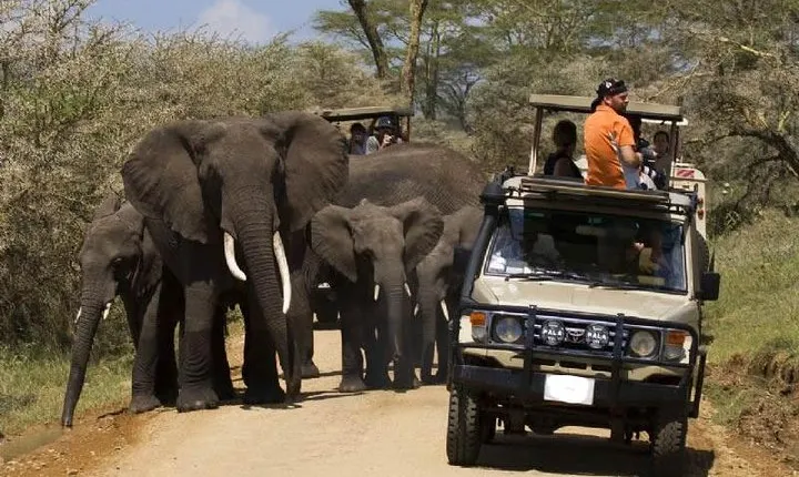 5 Day Best Camping Safari in Tanzania Parks