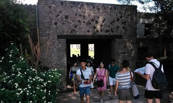 Vesuvius Wine tasting and lunch and Pompeii Full day private tour