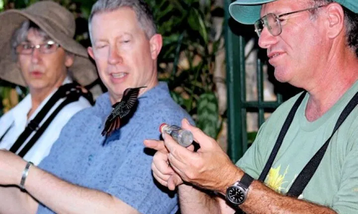 Rocklands Bird Sanctuary and Montego Bay Highlights Tour from Falmouth