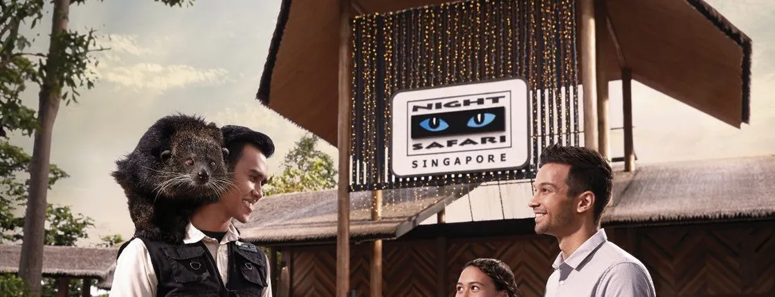 Night safari tour in Singapore (with Dinner option)
