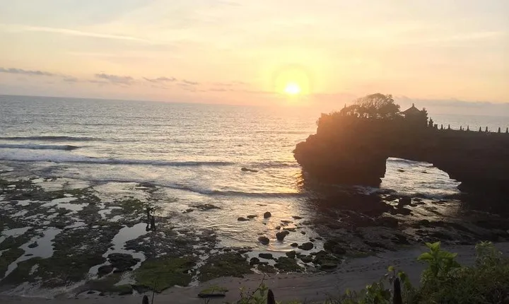 Private Day tour - Ubud and Tanah Lot Sunset in one Day