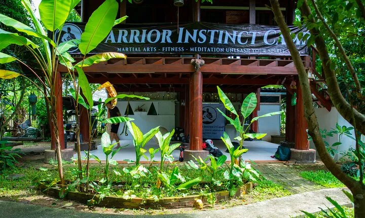 Martial Arts Jungle Experience - Unlock Your Spirit 
