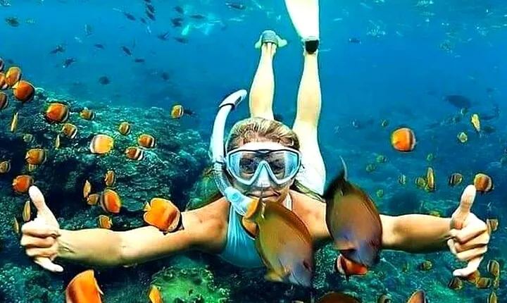 Amazing Snorkeling at Blue Lagoon