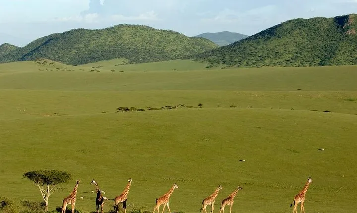 3 Days Maasai Mara Safari from Mombasa
