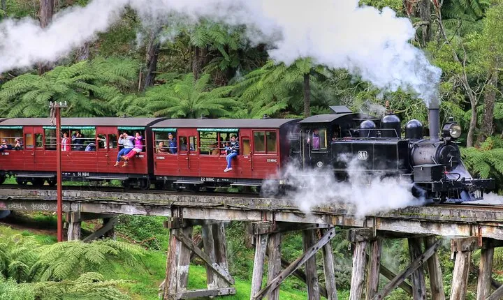 Healesville Sanctuary and Puffing Billy Scenic Bus Tour