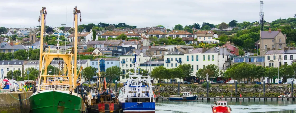 Shore Excursion of Howth and Dublin's City Centre