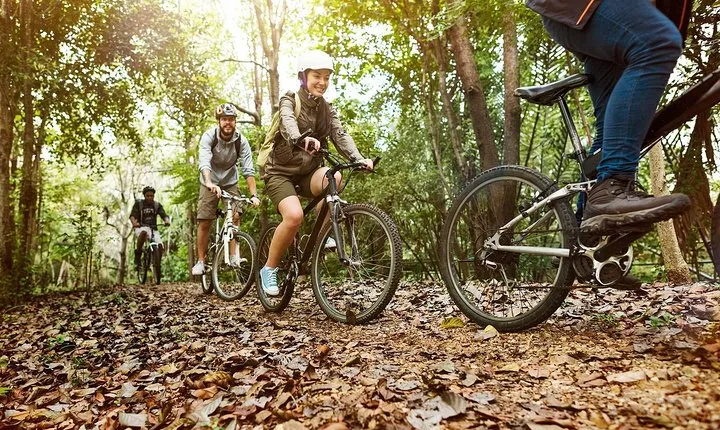 Private "Camino de Santiago" (The Way Of St. James) BY BIKE from Leon