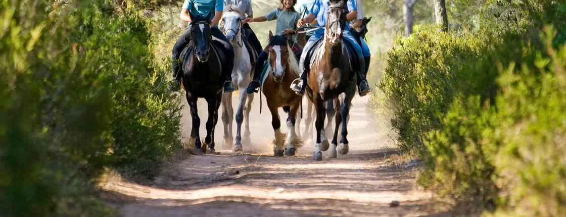 Camí de Cavalls Menorca Coastal Tour by Horse