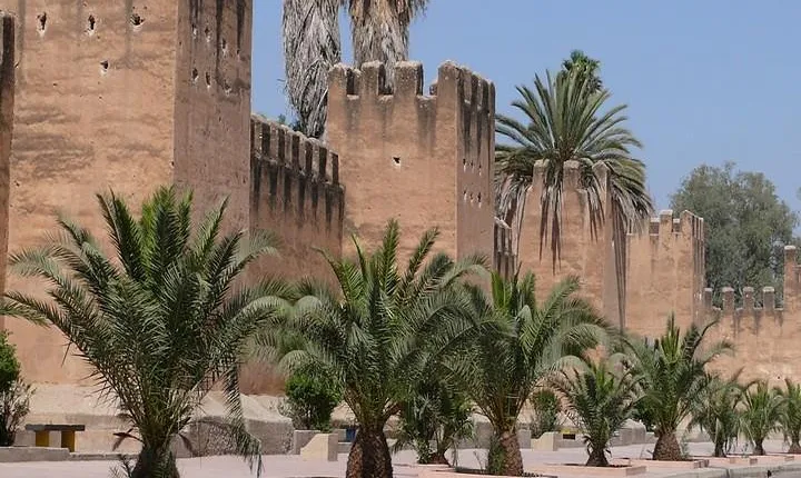 Ali Baba Oasis And The Old Medina Of Taroudant Private Day Tour