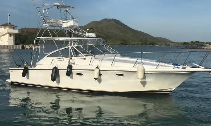 Full Day Big Game Fishing