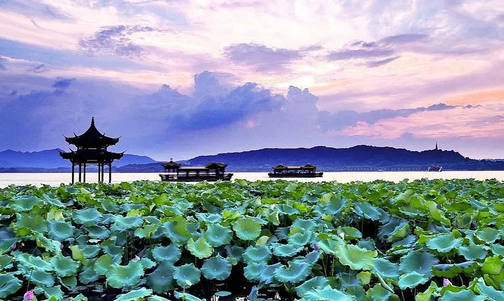 Half-Day Flexible Private Hangzhou Highlight Tour