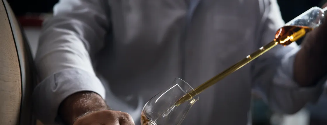 "3 facets of the Cognac country" private tour from Angouleme