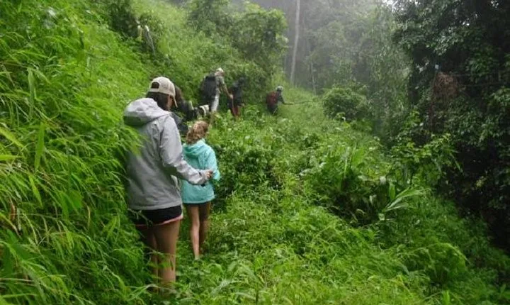 Hiking and Zipline Private Tour from Chiang with Karen Village