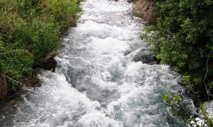 Private tour of the Israeli Far North - Tel Dan, Banias Reserve & Waterfall