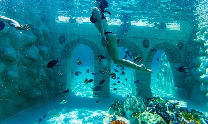 Snorkeling Experience at Sealanya Seapark