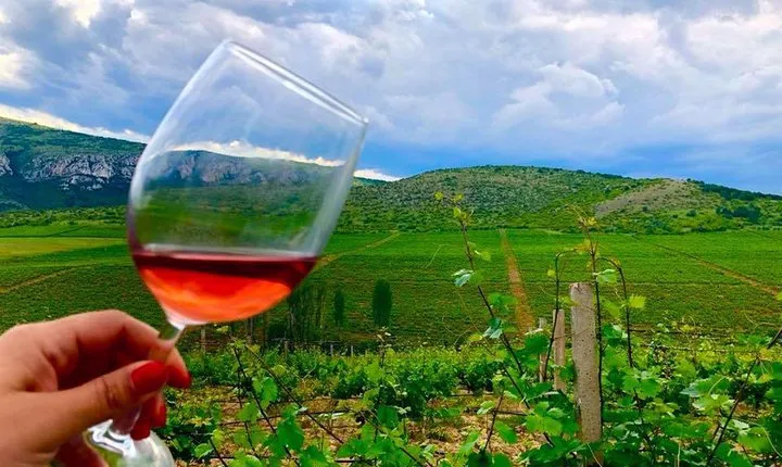 Private Wine Tour of Chateau Sopot Winery from Skopje