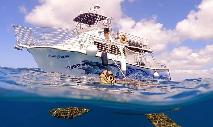 Waikiki Turtle Canyon Snorkeling Tour with Hula Show