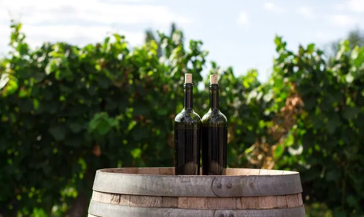 Napa Valley and Sonoma Wine Tour