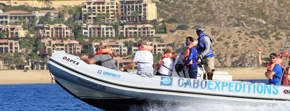 Los Cabos Zodiac Boat Tour with Snorkelling