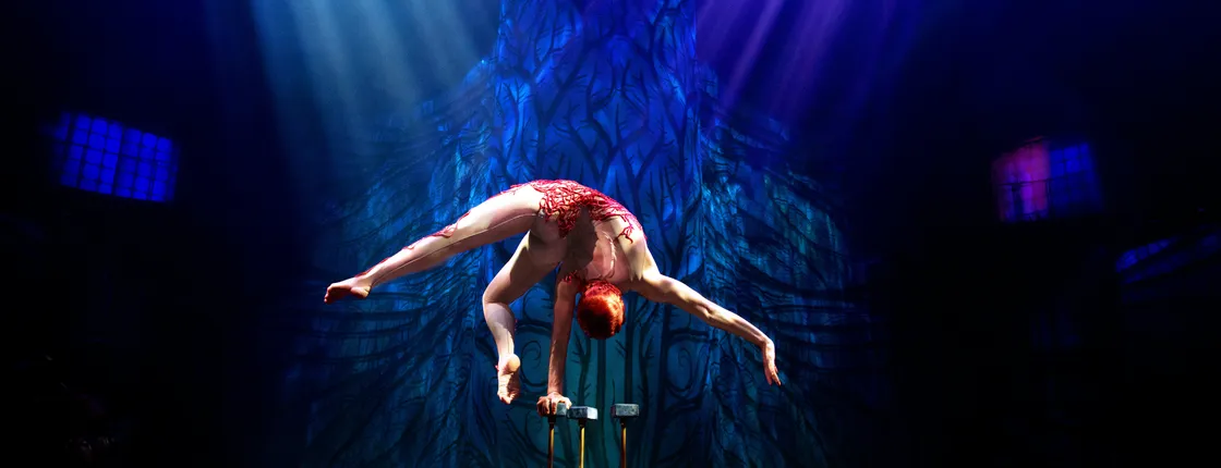 Cirque du Soleil JOYÀ Riviera Maya entrance ticket