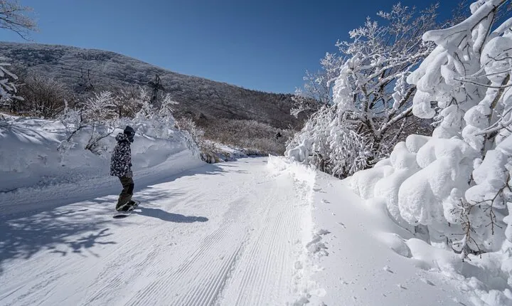 Kuju Forest Park Skiing Grounds Day Tour from Fukuoka