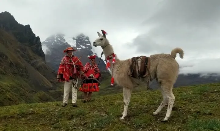 4D3N llama trek to machu picchu & sacred valley journeys 