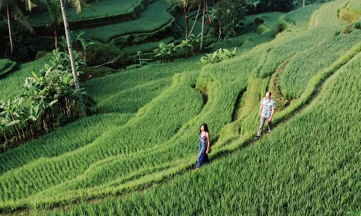 Private Tour Top Sights of Bali in One Day