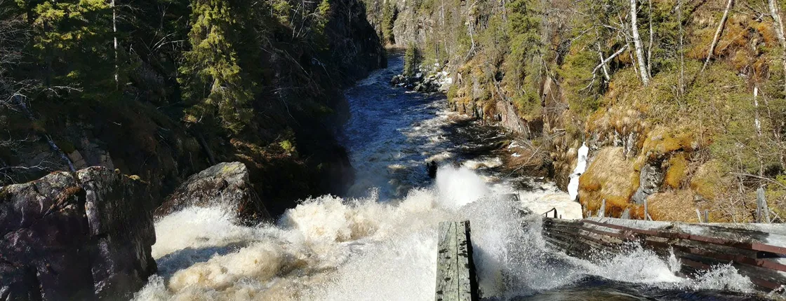 Day-Tour Hiking to Auttiköngäs Falls