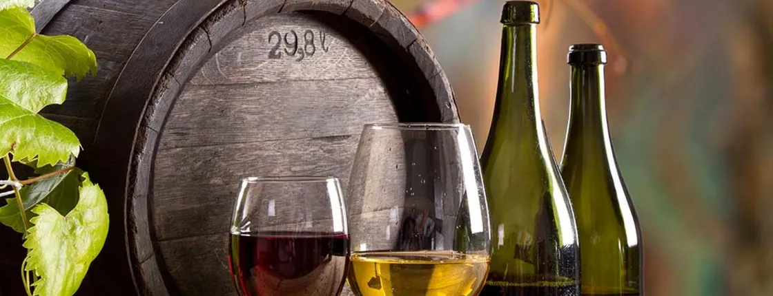 Brunello di Montalcino wine tour from San Gimignano
