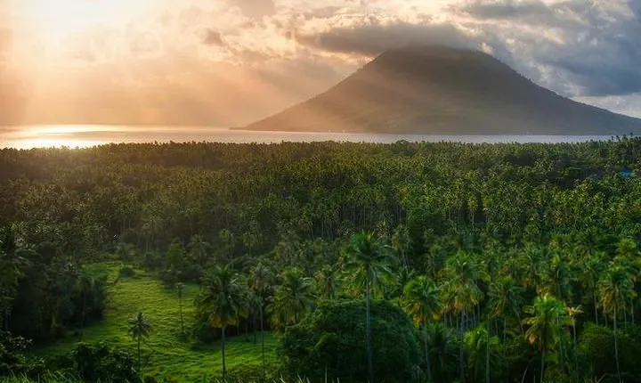 Sulawesi Nani Wartabone National Park Tour