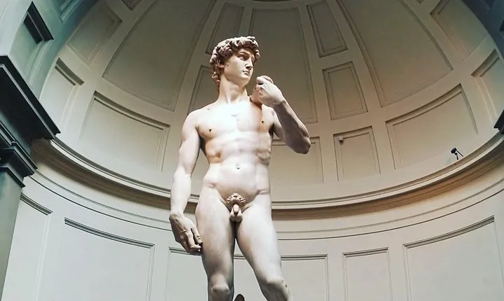 Florence: 1-hour Accademia Gallery guided experience with entrance tickets 