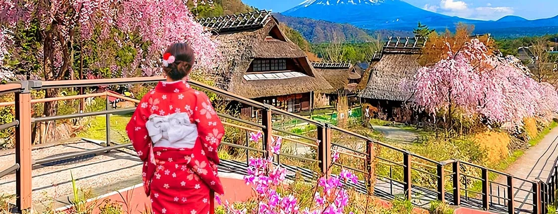 Mount Fuji top 4 must-visit attractions full day tour from Tokyo