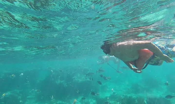Isla Mujeres Snorkeling Adventure at the Underwater Museum