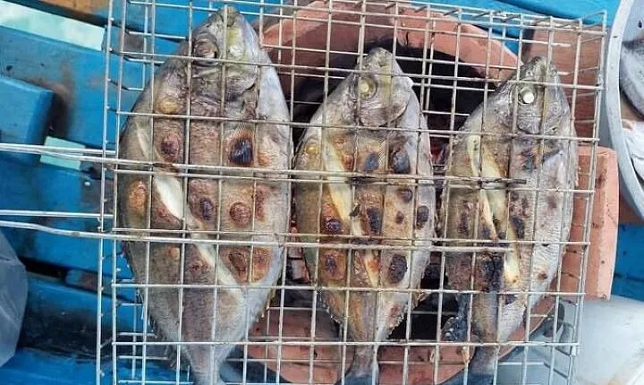 Fishing & Island Lunch Cruise from Koh Samui – Catch & Relax