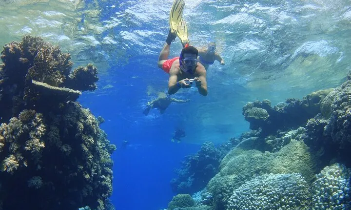 Coral Garden Reef Snorkeling Boat Trip from Marsa Alam