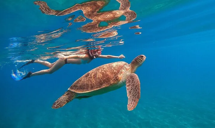 Marsa Mubarak Snorkeling Sea Trip & Transfer & Lunch – Marsa Alam