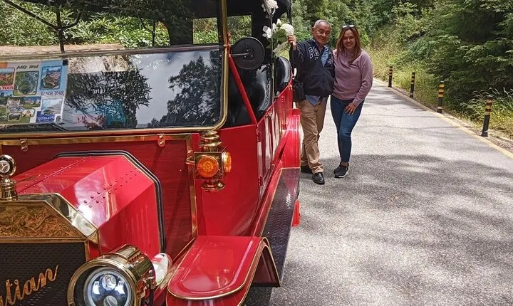 Private Vintage Tuktuk Pena Palace Tour
