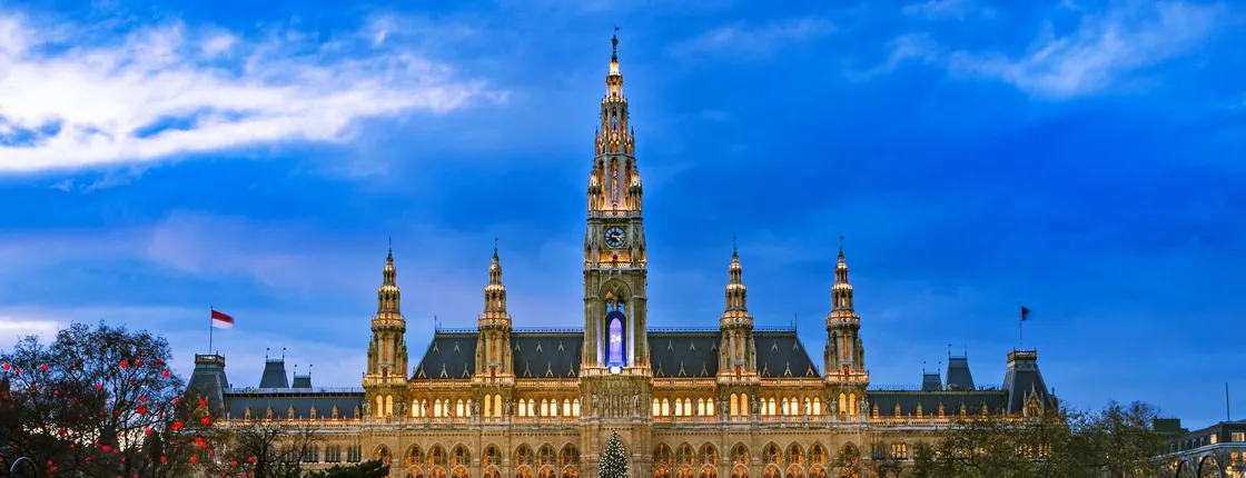 Vienna Christmas Market tour with a local