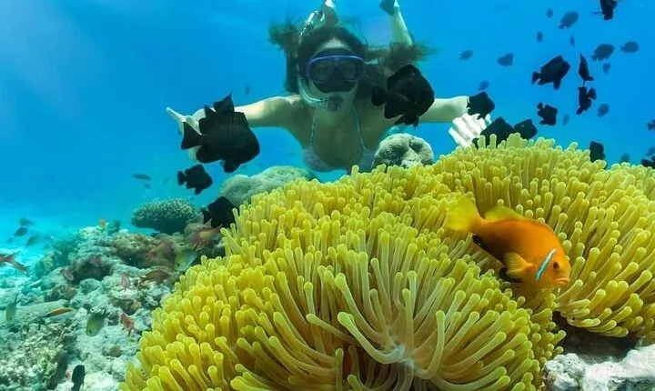 Blue lagoon Snorkeling Explore Blue laggoon