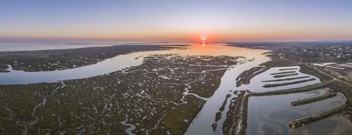 Ria Formosa speed boat tour from Faro