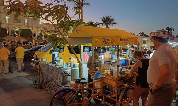 Art Walk Tour in Los Cabos