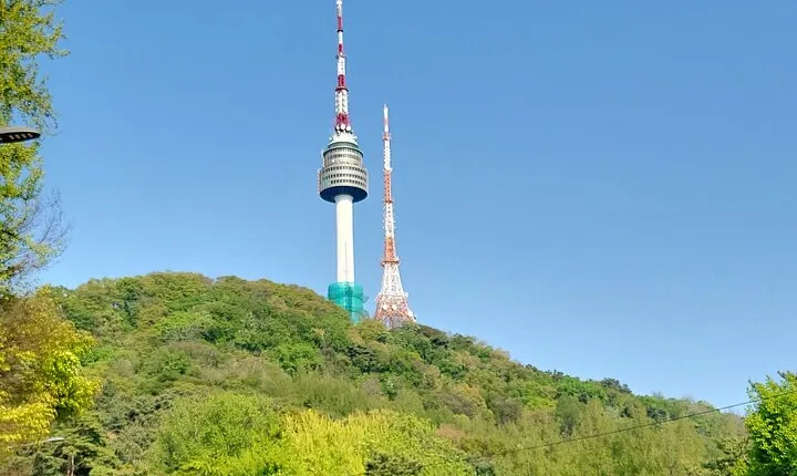 Private Day Tour N Seoul Tower & Seoul City tour