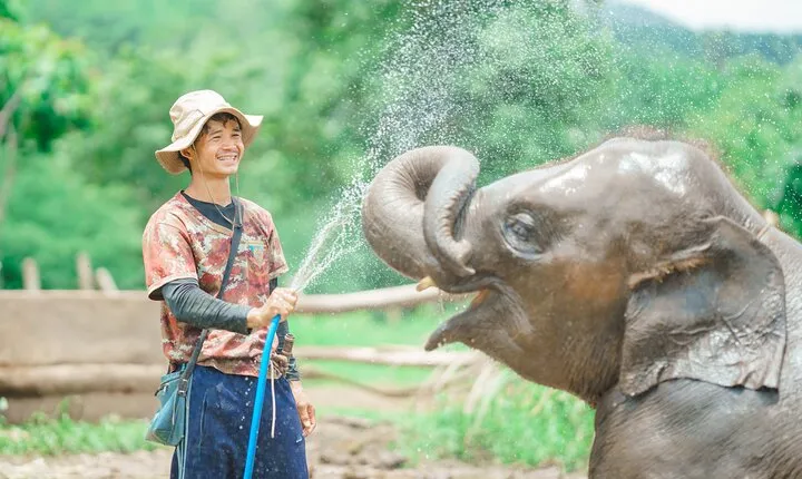 Full Day Elephant Sanctuary Mahout Experience