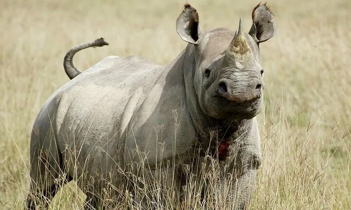  7 Days / 6 Nights Join group Safari