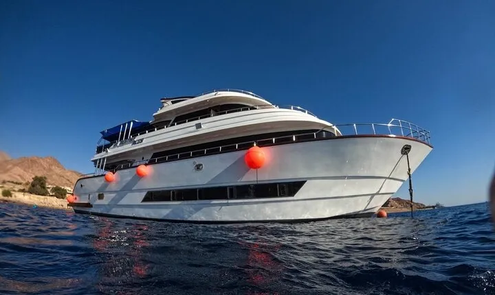 Journey of Diving or Snorkelling from a Boat