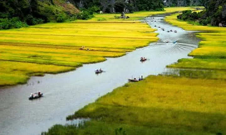 Hoa Lư Tam Coc & Mua Cave full day Including Buffets Lunch