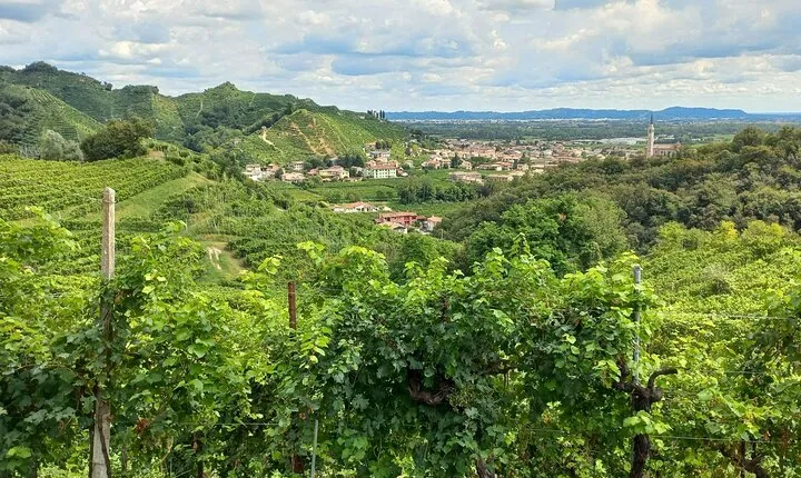 Prosecco Hills Day Trip from Venice & Treviso: 2 Wineries